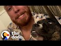 Woman Brings A Stray Pittie Home To Her Husband | The Dodo