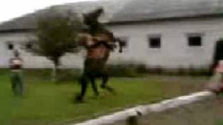 upadek z konia! ;O fall off horse