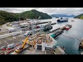 Picton Terminal Demolition - Scope Group