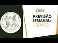 Previsão para o signo de Peixes: Aprecie o processo!