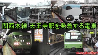 関西本線 天王寺駅を発着する電車（117系・201系・221系・223系・225系・323系・特急はるか、くろしお）