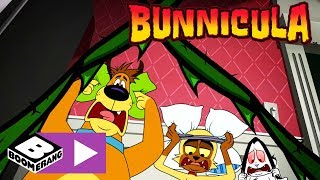 Bunnicula | Glück gehabt | Cartoonito