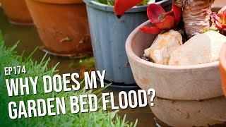 #174 Why does my garden bed flood?