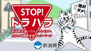 必ず止まる！横断歩道は歩行者優先！STOP!交通ハラスメント～運転手編～