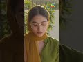 Mujhe Barbad Kar Diya... #mamia #meesni #shorts #humtv #viral