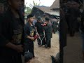 joki banteng pada ndadi