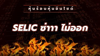 หุ้นร้อนอินไซด์ : SELIC ซ่าาา ไม่ออก