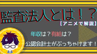 監査法人ってどんな会社！？年収や職場環境を監査法人勤務の会計士がぶっちゃけます！