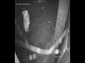 Lancaster sexual assault and burglary CCTV