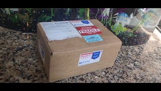 Live Mail Order Black Orchid Crowntail Betta Fish 🐟 Did They Arrive Dead Or Alive?