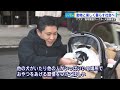 保護犬・猫の譲渡会　坂上忍さん運営「さかがみ家」とマツダのサークルがコラボ　動物と楽しく暮らす社会へ