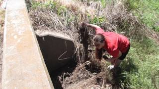 12,000-plus hidden treasures in Kansas