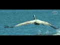 FRIENDLY BOAT TOUR AT SKADAR LAKE