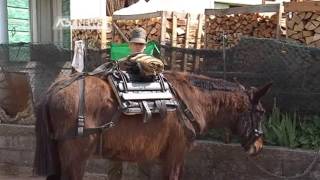 ALPINI: DOPO TREVISO TOCCA ALLA BRIGATA CADORE A BELLUNO