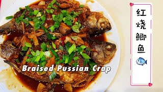 红烧鲫鱼 不腥不粘锅，鲜香入味 Braised Prussian Carp 『Eng Sub』