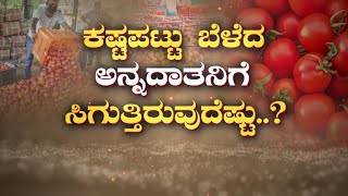 ಟೊಮ್ಯಾಟೋ ಬೆಳೆಯಲು ರೈತ ಪಡ್ತಿರೋ ಕಷ್ಟ ಎಂಥದ್ದು? Suvarna News Cover Story |Reason Behind Tomato Price Hike