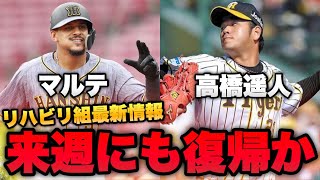 【来週復帰】阪神 高橋遥人、マルテ、守屋…がそろそろ一軍に帰ってくるぞ！！！！！！！！！