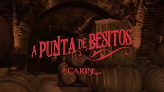 Carin Leon - A Punta De Besitos (Video Lyric)