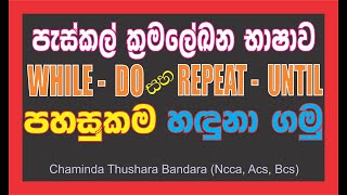 Pascal programming language. WHILE DO and REPEAT UNTIL LOOP. OL ICT in sinhala (it plus)