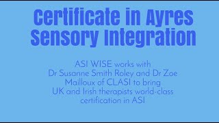 ASI Wise Certification in Ayres Sensory Integration