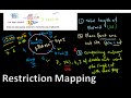 Restriction mapping tutorial 1 | restriction mapping problems for CSIR NET exam