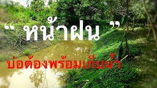 หน้าฝน ! ต้องพร้อมกักเก็บน้ำฝน #เกษตรกรวันหยุด