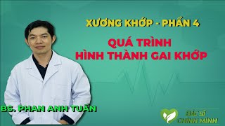 Quá Trình Hình Thành Bệnh Gai Khớp | Bệnh Xương Khớp | Bác Sĩ Chính Mình