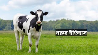 গরুর ইতিহাস | History of cow | Kazi Junaid