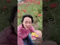 北海道富良野花田，超美￼花🌷 北海道 札幌 日本旅游 富良野 富良野薰衣草 ￼日本薰衣草 ￼薰衣草