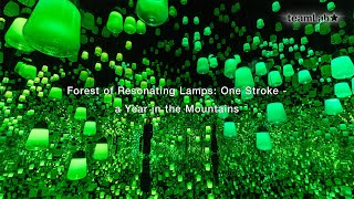 Forest of Resonating Lamps: One Stroke - a Year in the Mountains