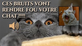 CES BRUITS VONT RENDRE FOU VOTRE CHAT !!!!!