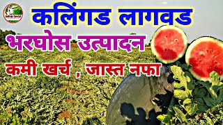 √कशी करावी #कलिंगड लागवड पीक दोन महिन्याचे उत्पन्न लाखांचे.  #Watermelon success story in Marathi