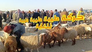 29-1-2025#سوق البكارة اليوم الأربعاء(حركة طيبة طيبة طيبة للغاية)أسعار الغنم واللحم والفطام