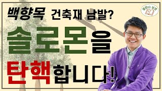 [열린다성경2]🌲솔로몬의 지혜? NO! 솔로몬은 완전 탄핵감 | 식물(2)