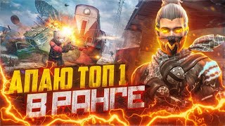 АПАЕМ 999+ ЗВЕДЗ В РАНГЕ 🔥СТРИМ ПО ФРИ ФАЕР