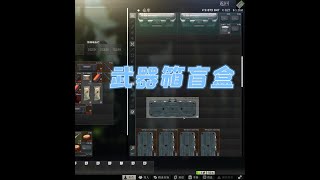 【逃离塔科夫】武器箱盲盒2 Escape from Tarkov