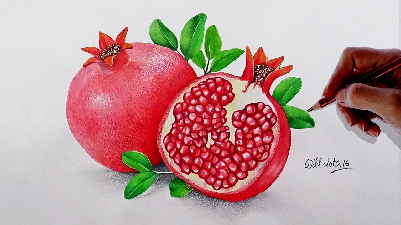 Pomegranate Pencil Drawing A Beginner Friendly Guide To Capture The