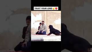 Dog Tries To Attack Father and Son While they were praying. #shorts#islamic#muslims#ytshorts#status