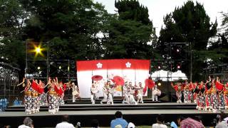 The 日本海＆北國新聞（YOSAKOIソーラン日本海・彦根2011）