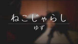 ねこじゃらし / ゆず 弾き語り 【概要欄にコード付き】