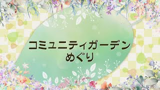 コミュニティガーデンめぐり～亀九緑花・江東区立南陽幼稚園～（2024年10月13日）