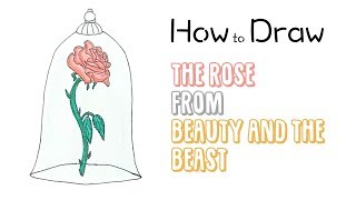 How to Draw the Rose from Beauty and the Beast