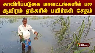 காவிரிப்படுகை மாவட்டங்களில் பல ஆயிரம் ஏக்கரில் பயிர்கள் சேதம் | TN Rains