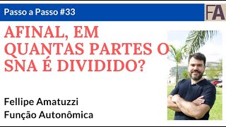 AFINAL, EM QUANTAS PARTES O SNA É DIVIDIDO? #PaP33