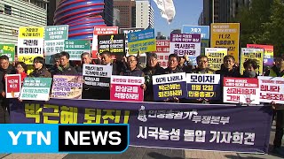 시국선언 확산...보수 원로·역사학자까지 가세 / YTN (Yes! Top News)