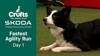 Your FASTEST Agility run from Day 1! | Crufts 2023