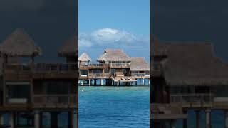 The largest overwater bungalow in Bora Bora🏝😲 #shorts