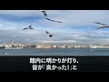 【感動する話】父が急逝し俺が社長になると副社長が社員を引き連れ退社し倒産危機になった俺。傷心のまま山奥の温泉宿に行くと女将「停電です！」電気業者の俺が助けると俺の人生が…【いい話・朗読・泣ける話