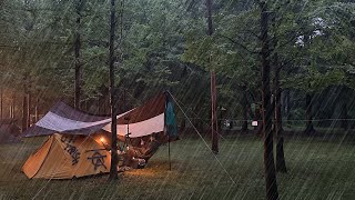 🌧비 오는 날 남이섬에서 백패킹🏕 폭우 우중캠핑 l 캠핑 브이로그