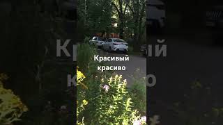 Красивая клумба!